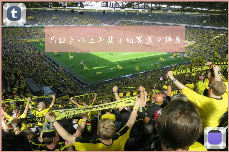 巴拉圭vs土耳其小组赛盘口热度