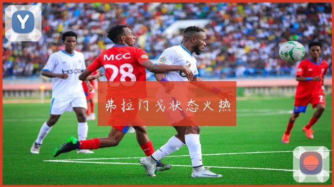 弗拉门戈状态火热