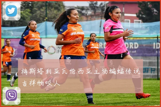梅斯塔利亚瓦伦西亚主场蝙蝠传说吉祥物咬人