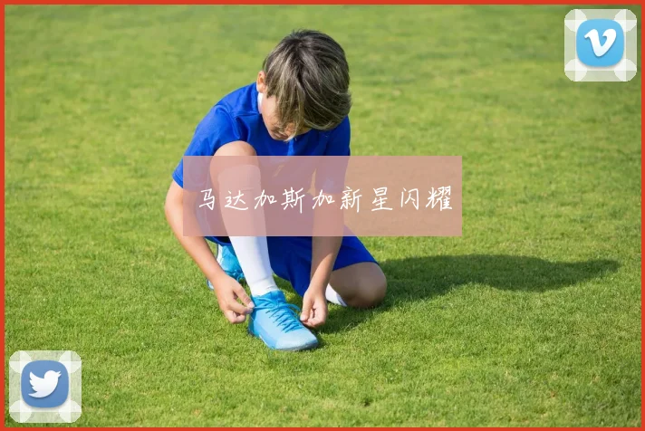 马达加斯加新星闪耀