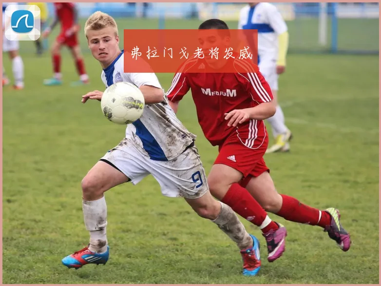 弗拉门戈老将发威