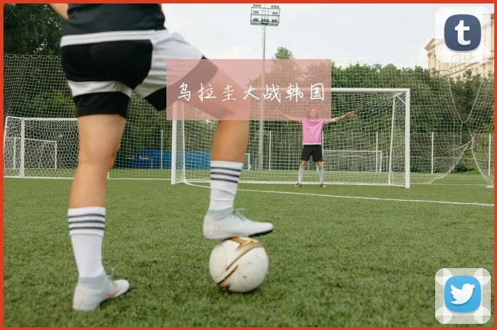 乌拉圭大战韩国