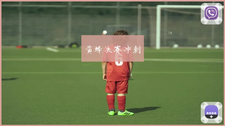 黄蜂决赛冲刺