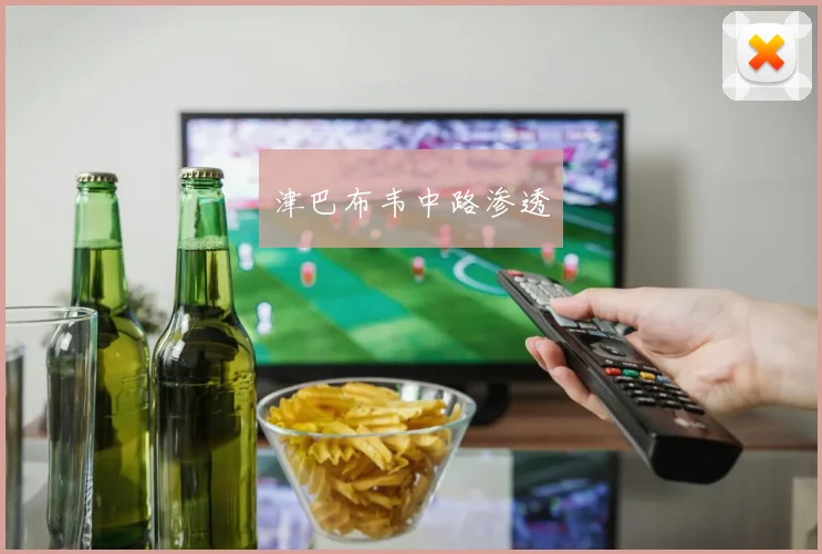 津巴布韦中路渗透