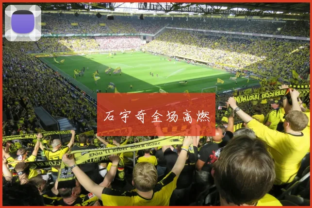 石宇奇全场高燃