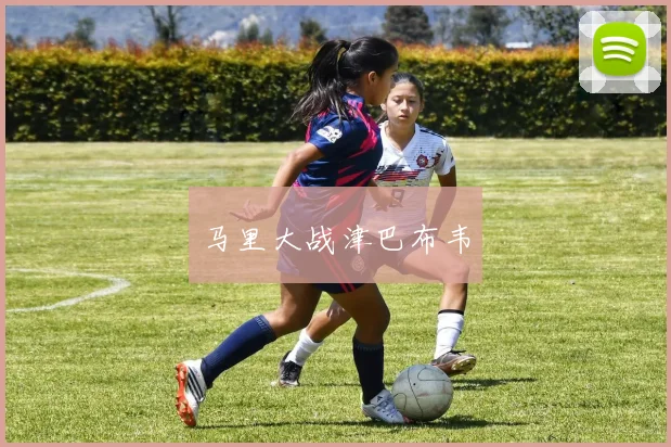 马里大战津巴布韦