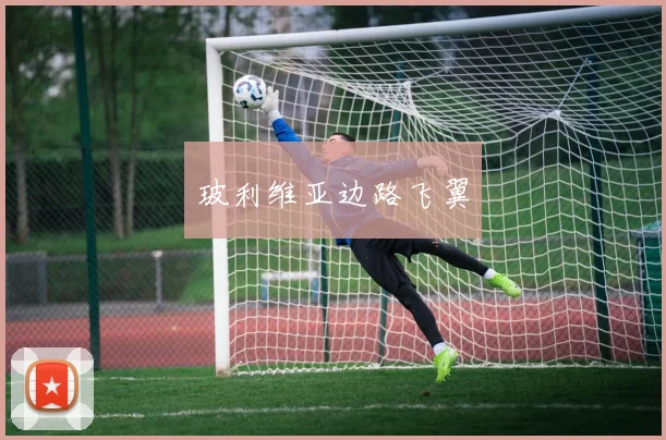 玻利维亚边路飞翼