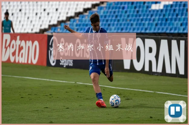 塞内加尔小组末战