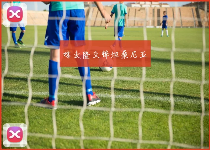 喀麦隆交锋坦桑尼亚