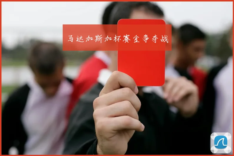马达加斯加杯赛金争夺战