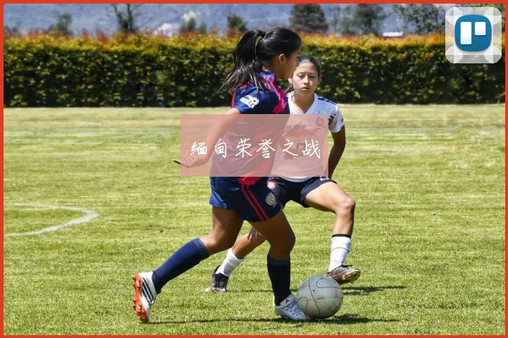 缅甸荣誉之战