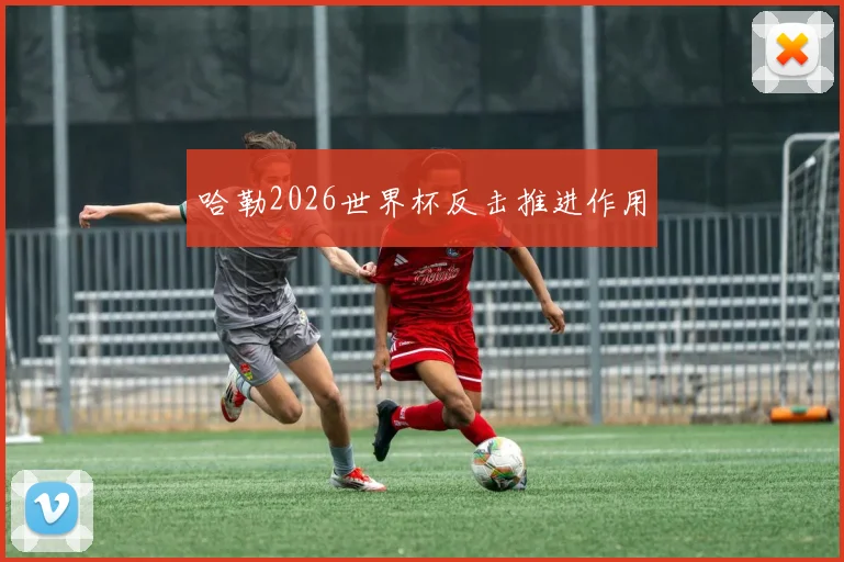 哈勒2026世界杯反击推进作用