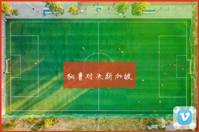 秘鲁对决新加坡