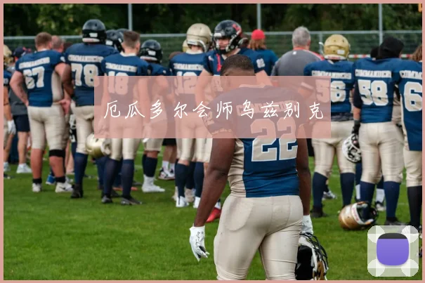 厄瓜多尔会师乌兹别克