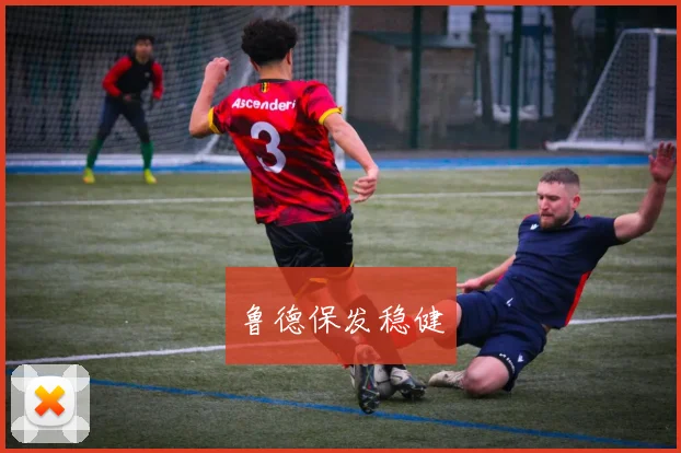 鲁德保发稳健