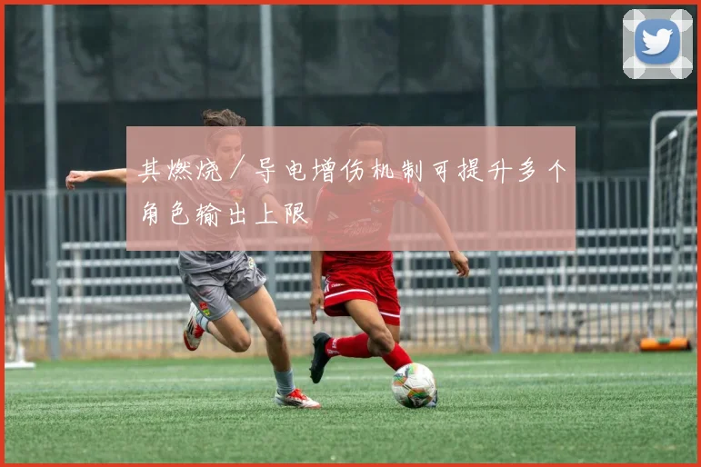 其燃烧／导电增伤机制可提升多个角色输出上限