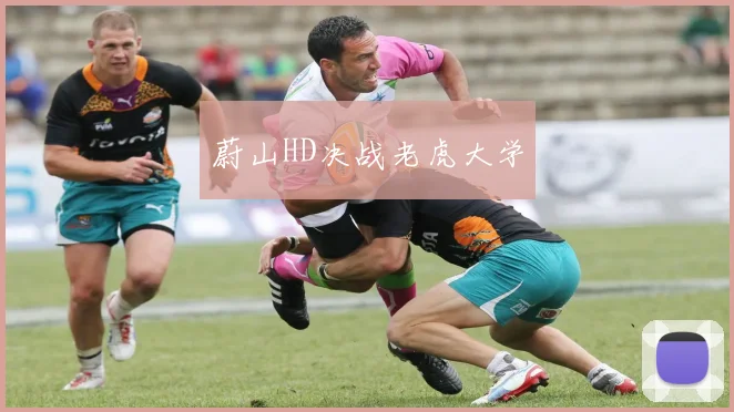 蔚山HD决战老虎大学