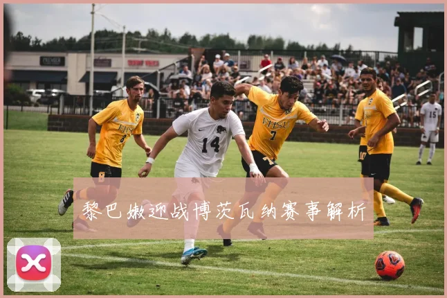 黎巴嫩迎战博茨瓦纳赛事解析