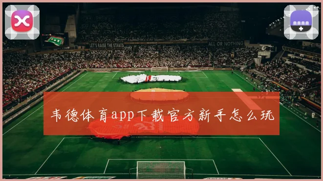 韦德体育app下载官方新手怎么玩