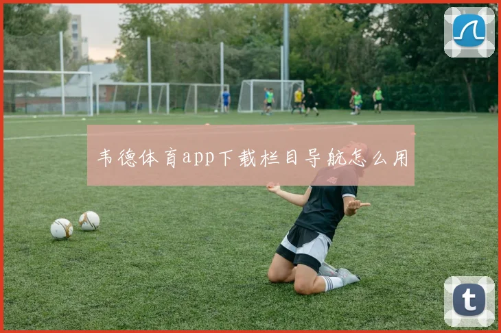韦德体育app下载栏目导航怎么用