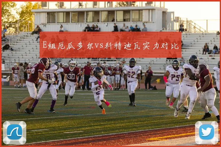 E组厄瓜多尔vs科特迪瓦实力对比