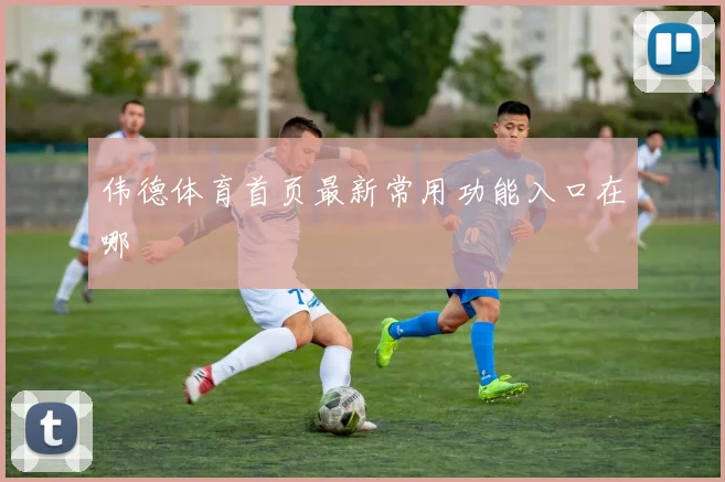 伟德体育首页最新常用功能入口在哪